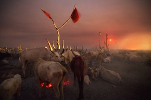 Nile_0005