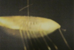 CY_TWOMBLY